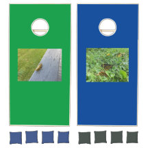 Grasshouper/A Monarch Butterfly