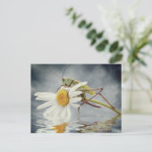 Grasshouper op maisiebloem briefkaart (Staand voorkant)