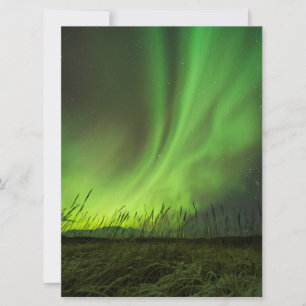 Grasslands Aurora