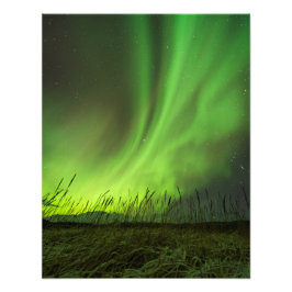 Grasslands Aurora Foto Afdruk