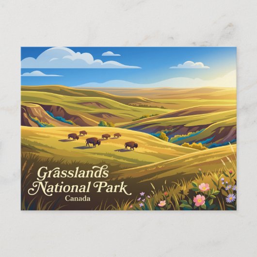 Grasslands National Park Canada Briefkaart (Voorkant)