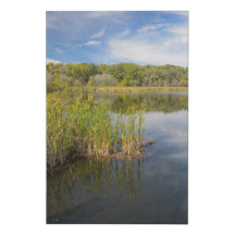Grassy Lake