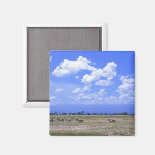 Grassy Plain Magneet (Voorkant / Achterkant)