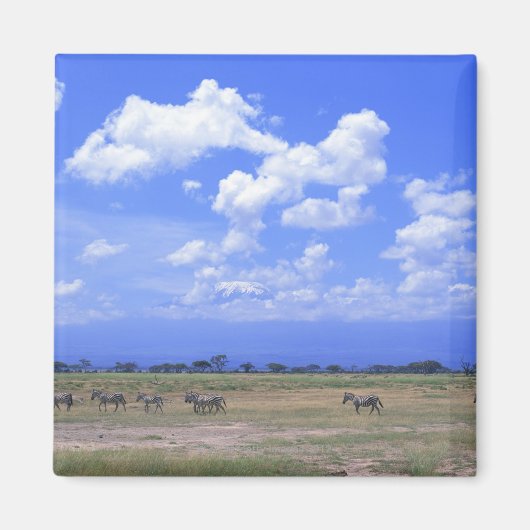 Grassy Plain Magneet (Voorkant)