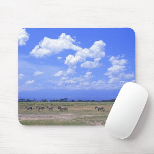 Grassy Plain Muismat (Met muis)