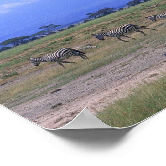 Grassy Plain Poster (Hoek)