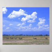 Grassy Plain Poster (Voorkant)