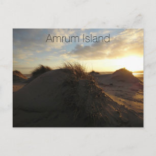 Grassy Sand Dunes at Sunset, Amrum Island, Duitsla Briefkaart