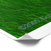 Grassy Sunset Poster (Hoek)