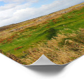 Grassy Waves Poster (Hoek)