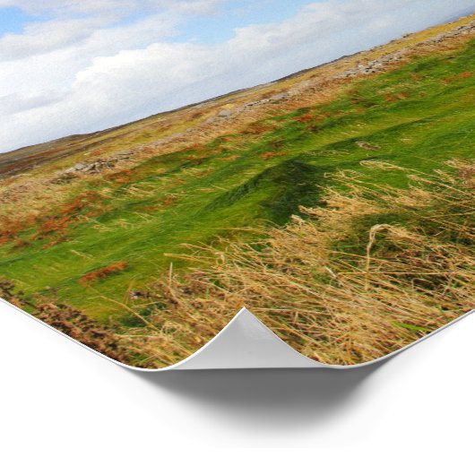 Grassy Waves Poster (Hoek)