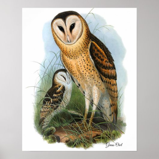 Grasuil Canvas Print (Voorkant)