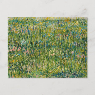 grasveld Vincent van Gogh Briefkaart