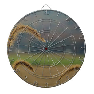 graszegels dartbord