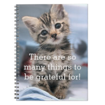 Grateful Kitten Journal