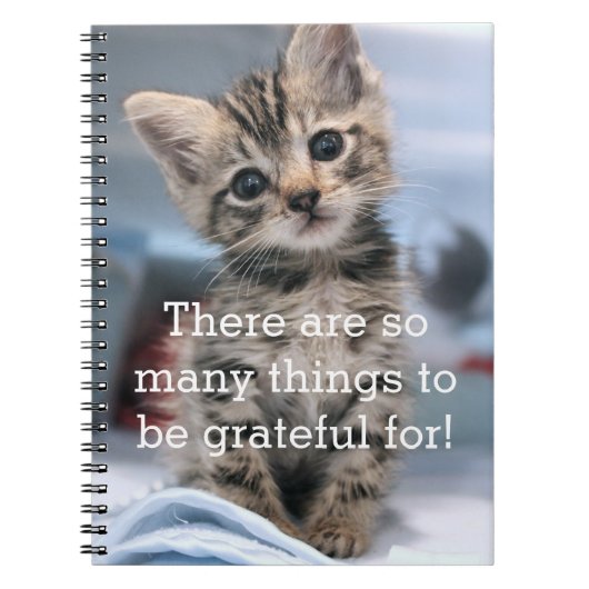 Grateful Kitten Journal Notitieboek (Voorkant)