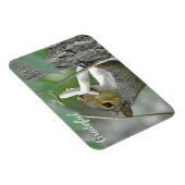 Grateful Squirrel Magneet (Rechterzijde)