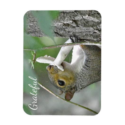 Grateful Squirrel Magneet (Verticaal)