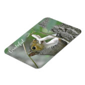 Grateful Squirrel Magneet (Linkerzijde)