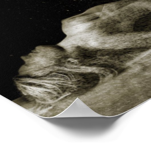 Gratis 2013 poster (Hoek)