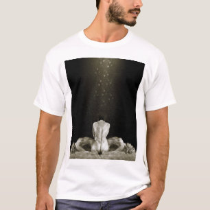 Gratis 2013 t-shirt