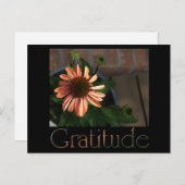 Gratis 3 briefkaart (Voorkant / Achterkant)