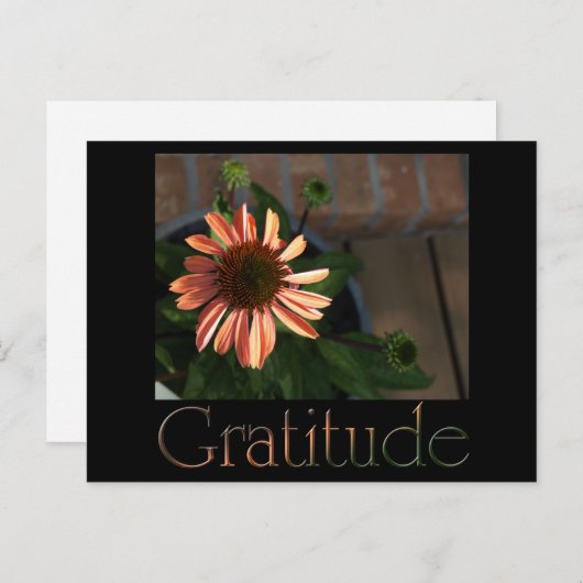 Gratis 3 briefkaart (Voorkant / Achterkant)