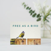 Gratis als een Vogel Ansichtkaart Briefkaart (Staand voorkant)