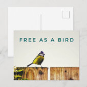 Gratis als een Vogel Ansichtkaart Briefkaart (Voorkant / Achterkant)
