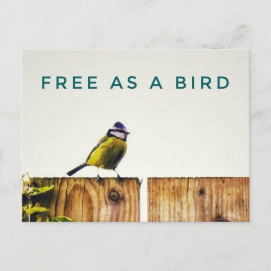 Gratis als een Vogel Ansichtkaart Briefkaart (Voorkant)