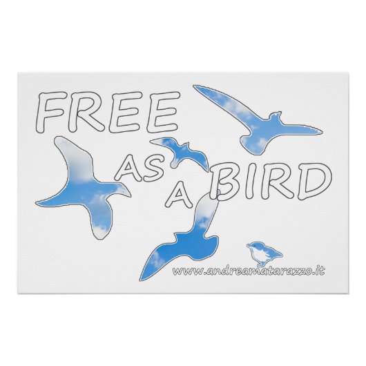 Gratis als vogelglossy perfect poster (Voorkant)