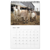 Gratis bereik! kalender (Mar 2027)