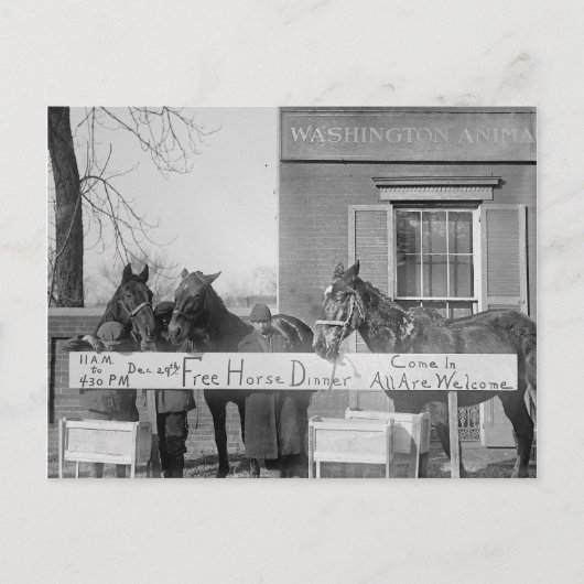 Gratis diner voor paarden, 1923 briefkaart (Voorkant)