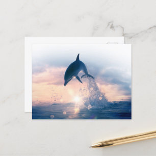 Gratis Dolphin Briefkaart