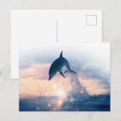 Gratis Dolphin Briefkaart (Voorkant / Achterkant)