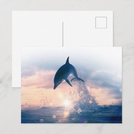 Gratis Dolphin Briefkaart (Voorkant / Achterkant)