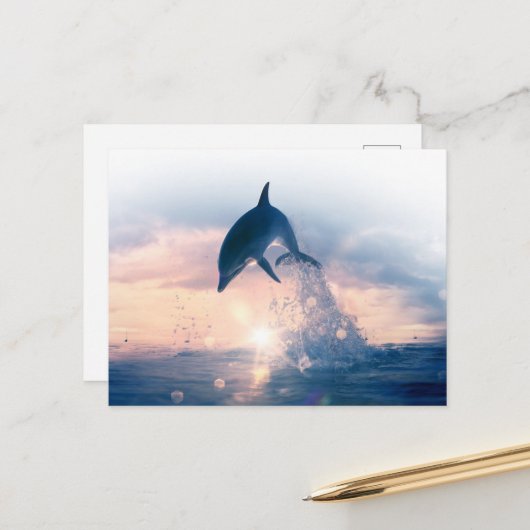Gratis Dolphin Briefkaart (Voorkant / Achterkant in situ)