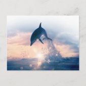 Gratis Dolphin Briefkaart (Voorkant)