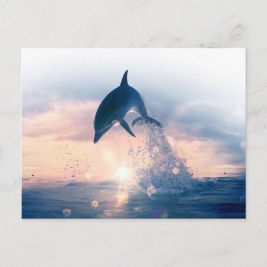 Gratis Dolphin Briefkaart (Voorkant)