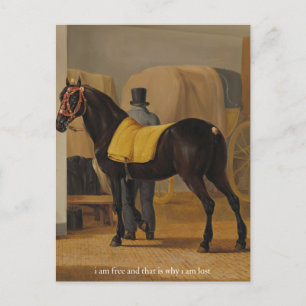 gratis en verloren poster briefkaart