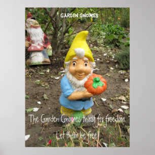 Gratis Garden gnomen Poster