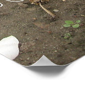 Gratis Garden gnomen Poster (Hoek)