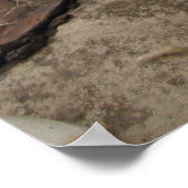 Gratis Garden gnomen Poster (Hoek)