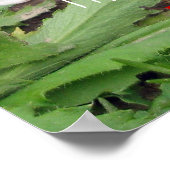 Gratis Garden gnomen Poster (Hoek)