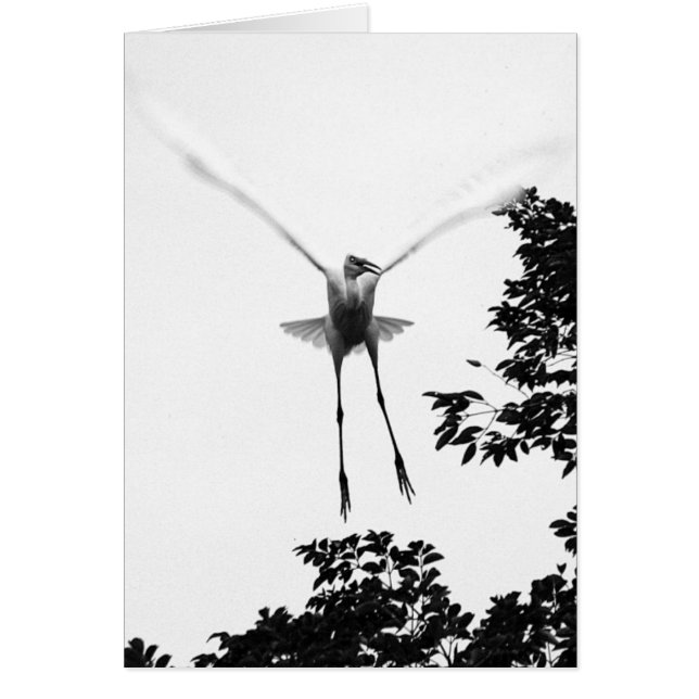 Gratis Herfst (Voorkant)