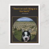 Gratis lunch briefkaart (Voorkant)