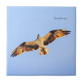 Gratis Osprey kunst Tegeltje (Voorkant)