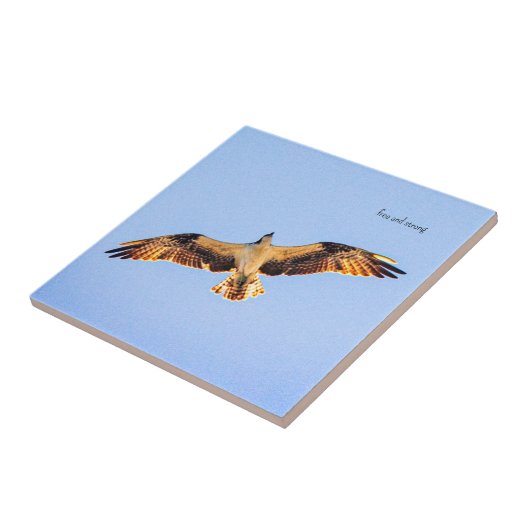 Gratis Osprey kunst Tegeltje (Zijkant)