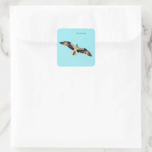 Gratis Osprey kunst Vierkante Sticker (Tas)