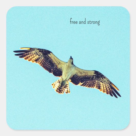 Gratis Osprey kunst Vierkante Sticker (Voorkant)